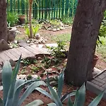 Готель Family нouse -нotel Asai 2*