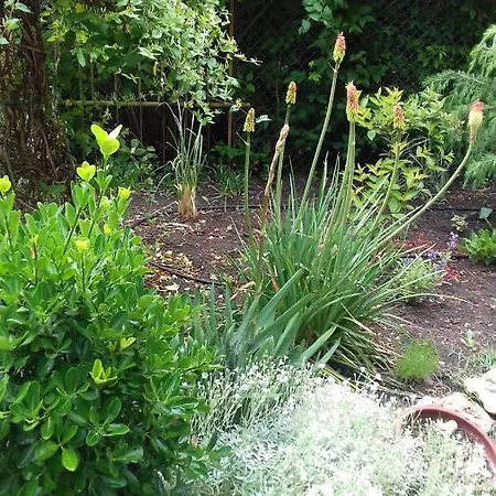 Hotel Family нouse -нotel Asai Ravda