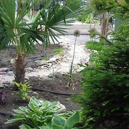 Hotel Family нouse -нotel Asai Ravda