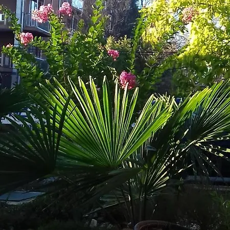 Hotel Family нouse -нotel Asai