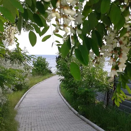 Family нouse -нotel Asai Hotel