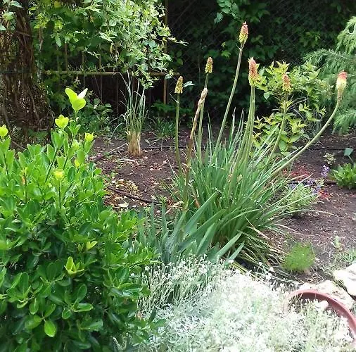 酒店 Family нouse -нotel Asai 拉夫达