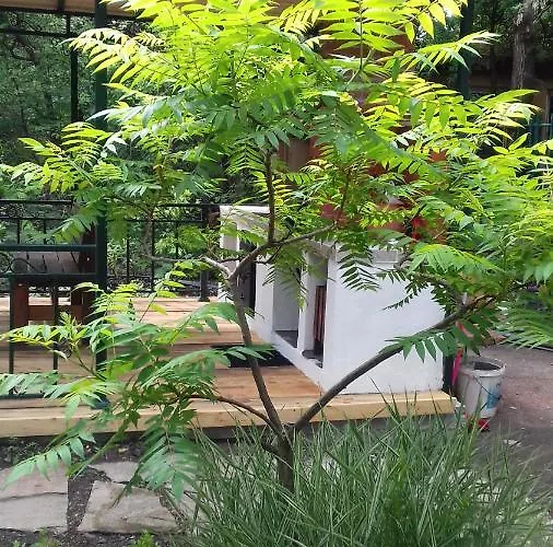 Family нouse -нotel Asai 酒店