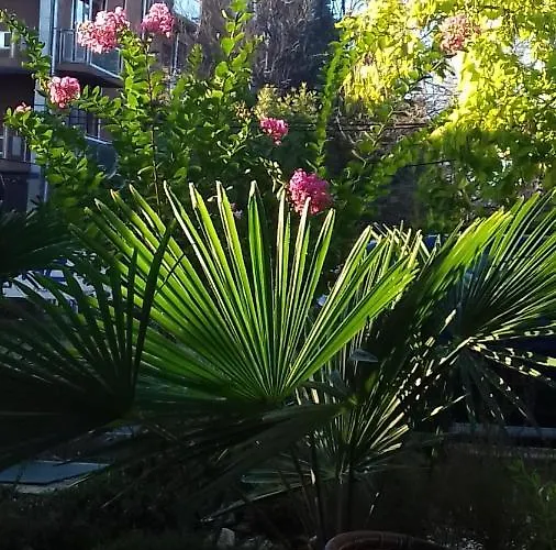 酒店 Family нouse -нotel Asai