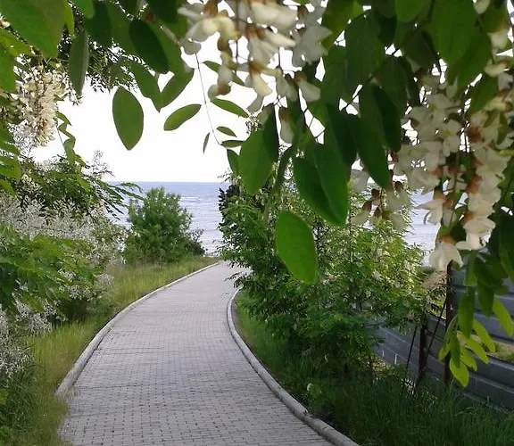 Family нouse -нotel Asai 酒店